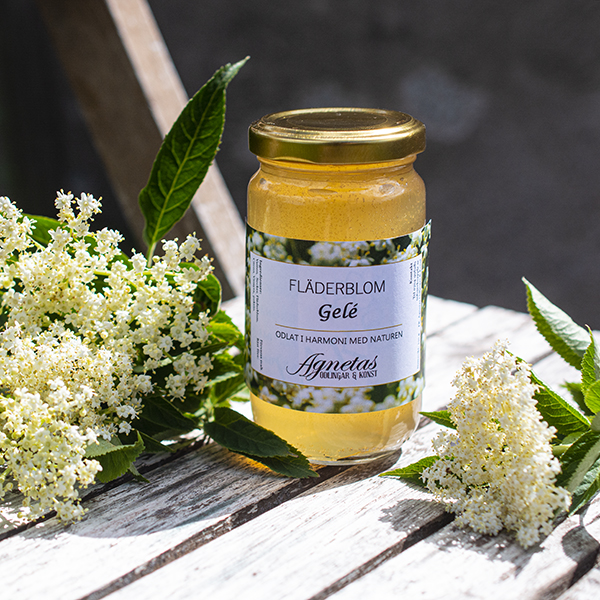 Fläderblomsgele